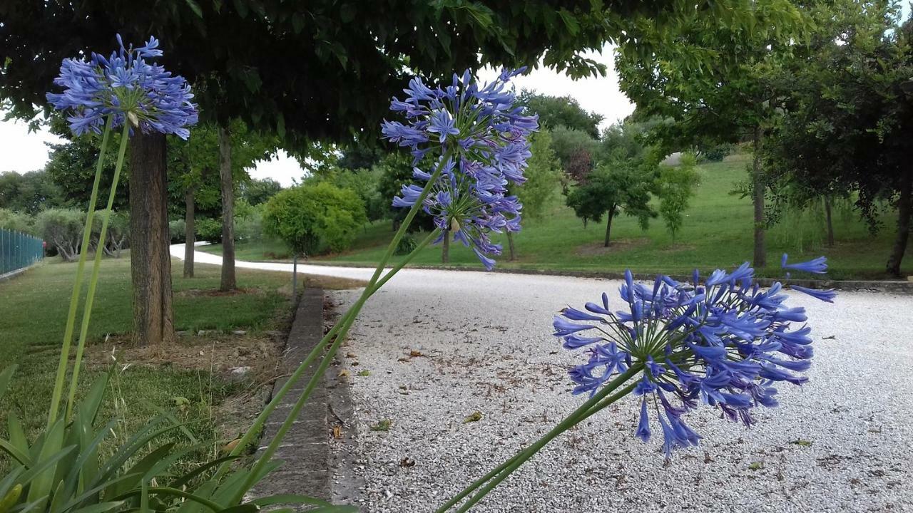 Casa Nenella Βίλα Corridonia Εξωτερικό φωτογραφία