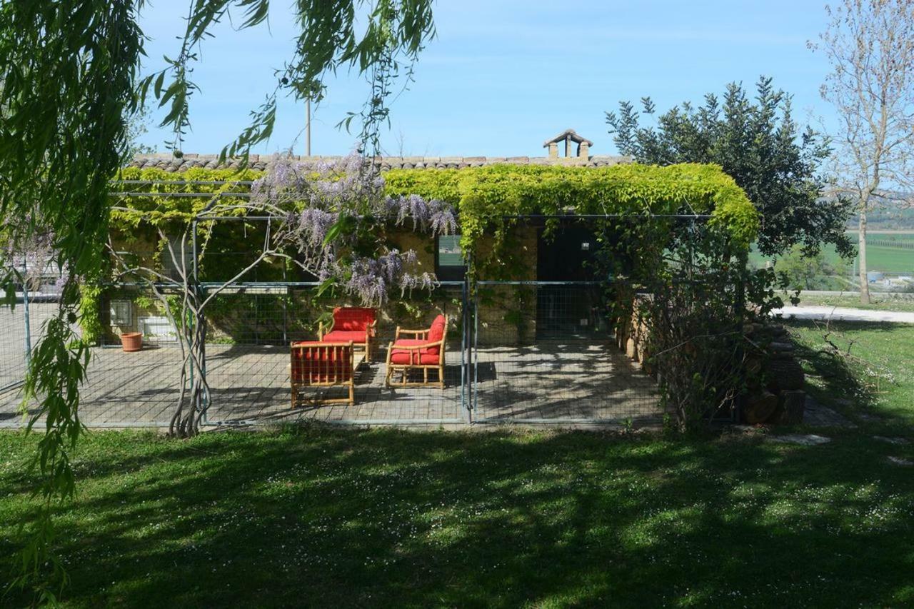 Casa Nenella Βίλα Corridonia Εξωτερικό φωτογραφία